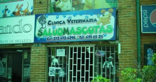 CLINICA VETERINARIA SALUD MASCOTAS BOGOTÁ CLINICA VETERINARIA SALUD MASCOTAS BOGOTÁ